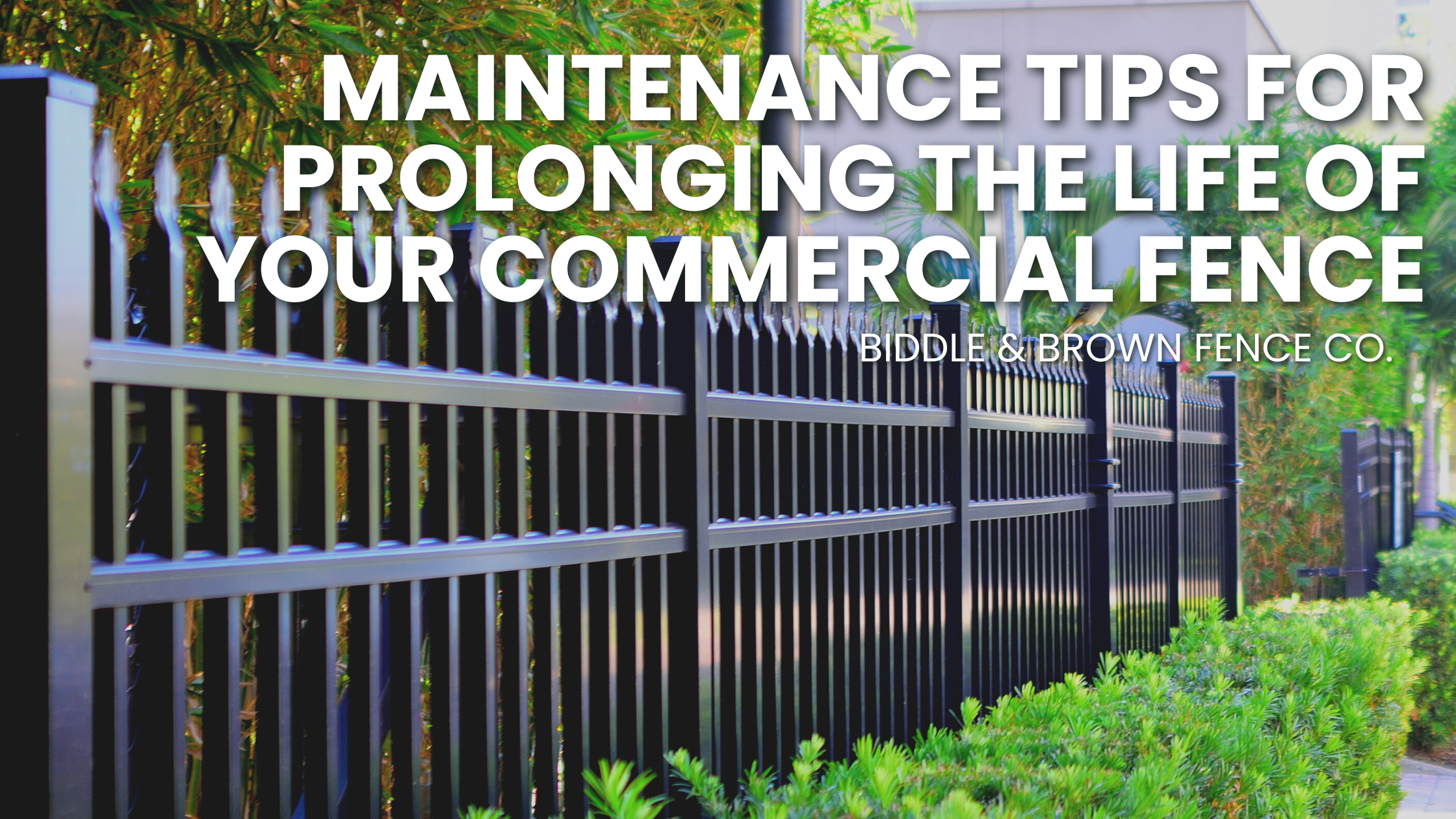 Maintenance Tips for Prolonging the Life of Your Commercial Fence